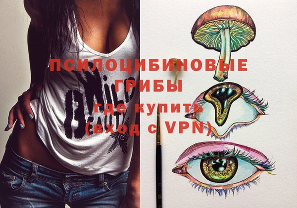 прущие грибы Алзамай