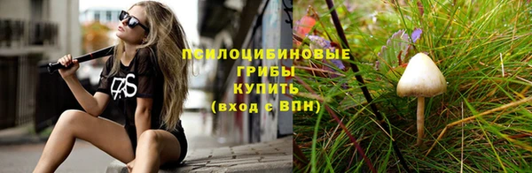 стаф Алексеевка