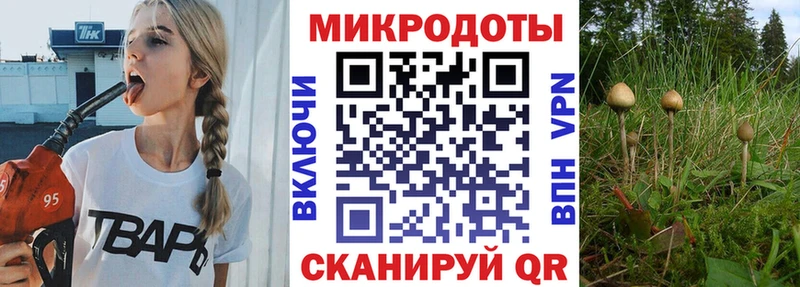 Псилоцибиновые грибы ЛСД Боровичи